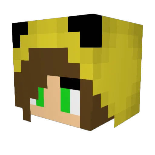 Pikadog360 Minecraft avatar head, 3D render