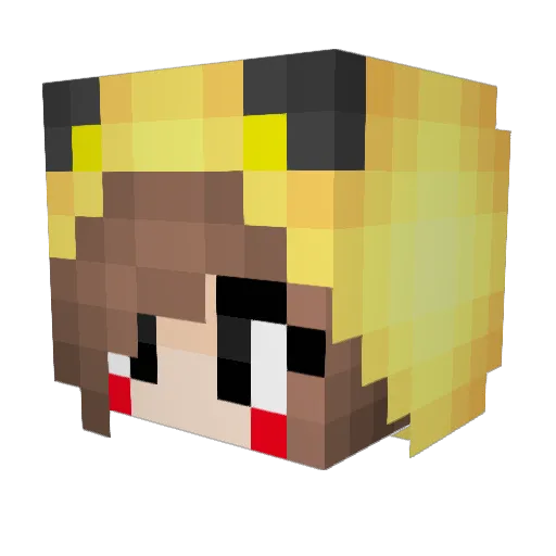 Pikagrl13 Minecraft avatar head, 3D render