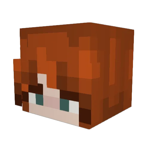 Pikanina Minecraft avatar head, 3D render