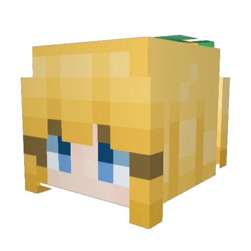 PikaofDewm Minecraft avatar head, 3D render