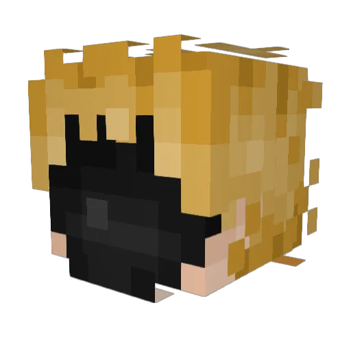 Pikasome14 Minecraft avatar head, 3D render