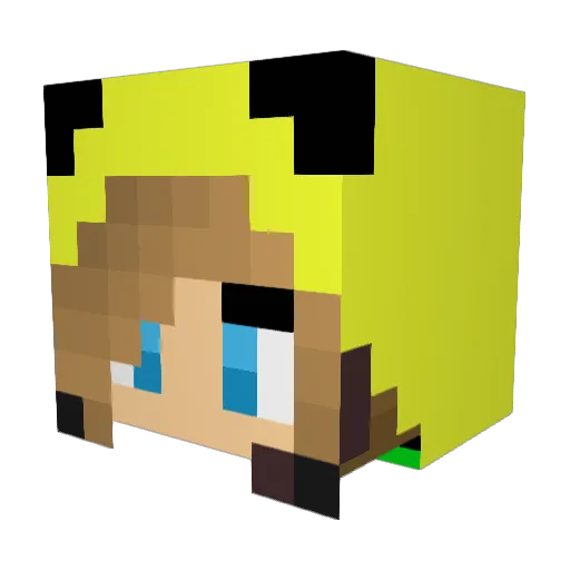 PikauGirl Minecraft avatar head, 3D render