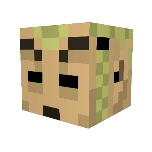 PikinikBasket Minecraft avatar head, 3D render