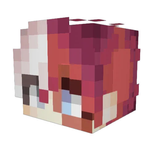 Pikleif Minecraft avatar head, 3D render