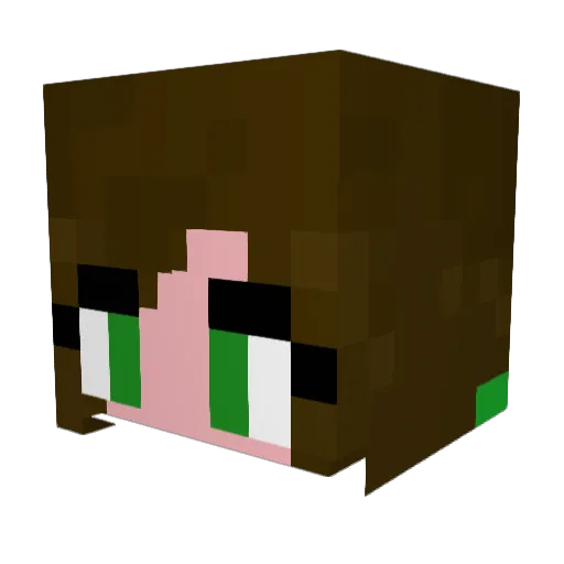 Pikminet Minecraft avatar head, 3D render