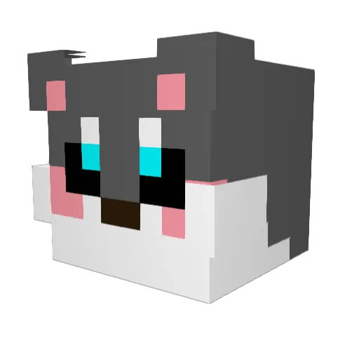 Piko_Poke Minecraft avatar head, 3D render