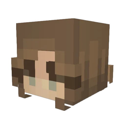 Pikwynne Minecraft avatar head, 3D render