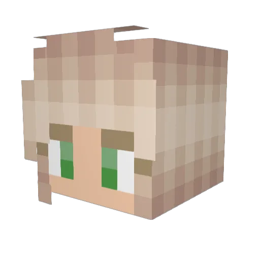 PilLio1 Minecraft avatar head, 3D render