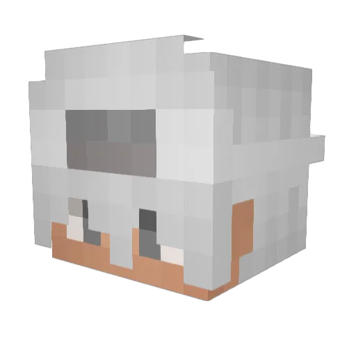 Pil_Bandit Minecraft avatar head, 3D render