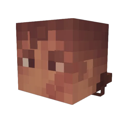 PilgrimMC Minecraft avatar head, 3D render