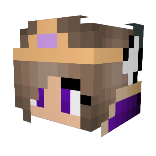 Pililope Minecraft avatar head, 3D render
