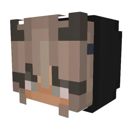 Pilinhas1 Minecraft avatar head, 3D render
