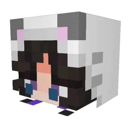 Pilixx Minecraft avatar head, 3D render