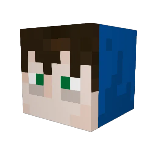 PillSoup Minecraft avatar head, 3D render