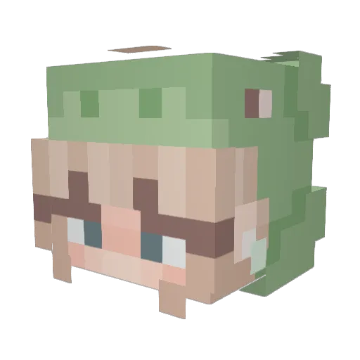 Pilleri8 Minecraft avatar head, 3D render