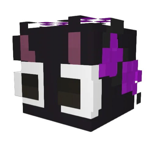 Pillicat Minecraft avatar head, 3D render