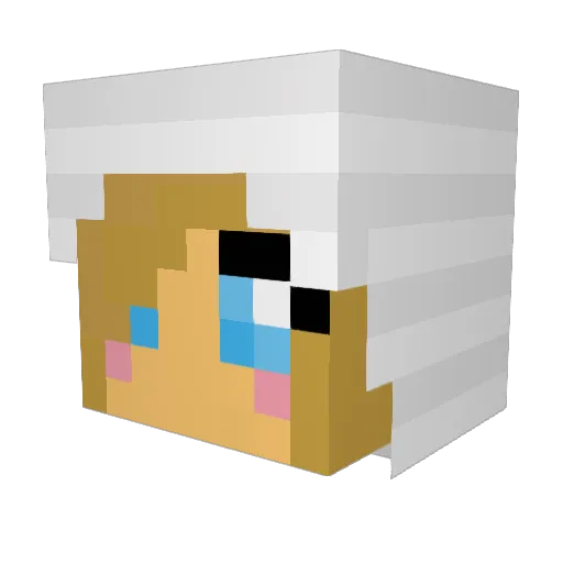 Pillow_Petz Minecraft avatar head, 3D render