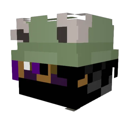 PillxFlower Minecraft avatar head, 3D render