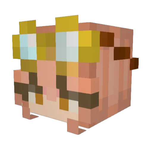 PilotGalaxy372 Minecraft avatar head, 3D render