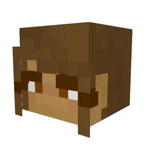 PilotLettuce726 Minecraft avatar head, 3D render