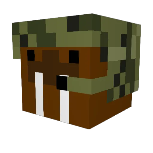 PilotPig64 Minecraft avatar head, 3D render