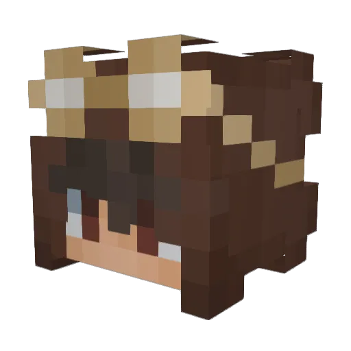 Pilott Minecraft avatar head, 3D render