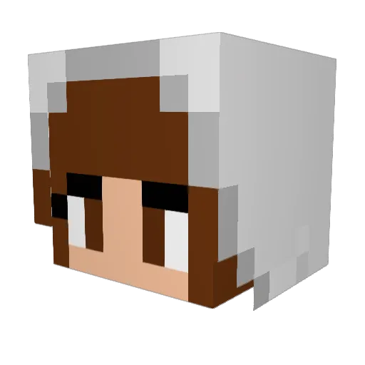 Piluka5 Minecraft avatar head, 3D render