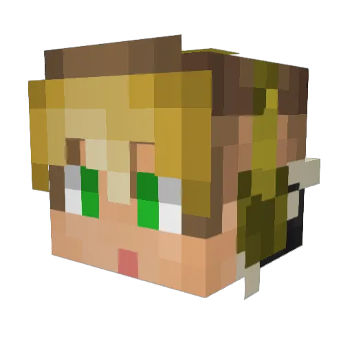 Pilukaus Minecraft avatar head, 3D render