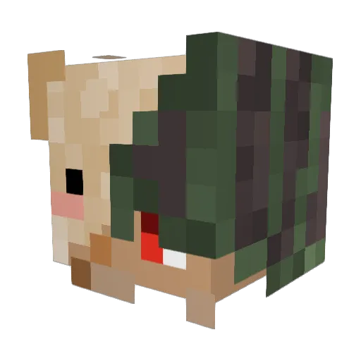 PilzCorgi22 Minecraft avatar head, 3D render