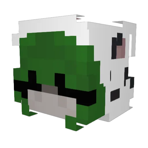 Pilzpirat Minecraft avatar head, 3D render