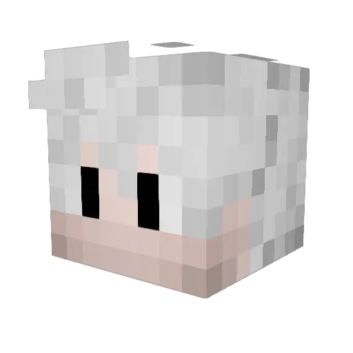 Pimentamente Minecraft avatar head, 3D render