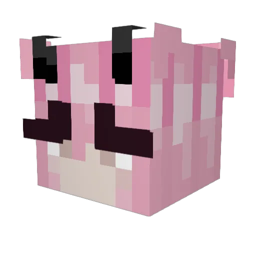 Pimh040 Minecraft avatar head, 3D render