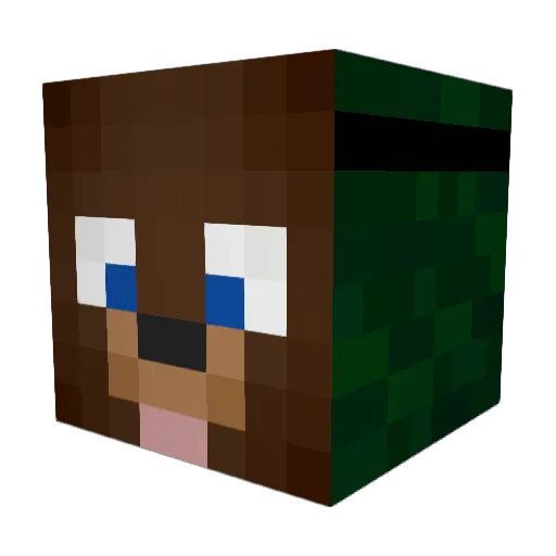 Pimmli88 Minecraft avatar head, 3D render