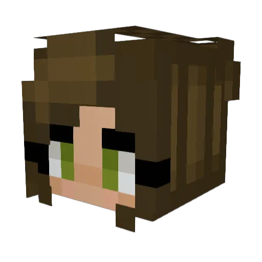 Pimpf84 Minecraft avatar head, 3D render