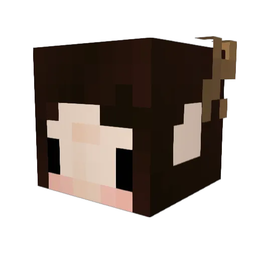 Pimpkin_Pie Minecraft avatar head, 3D render
