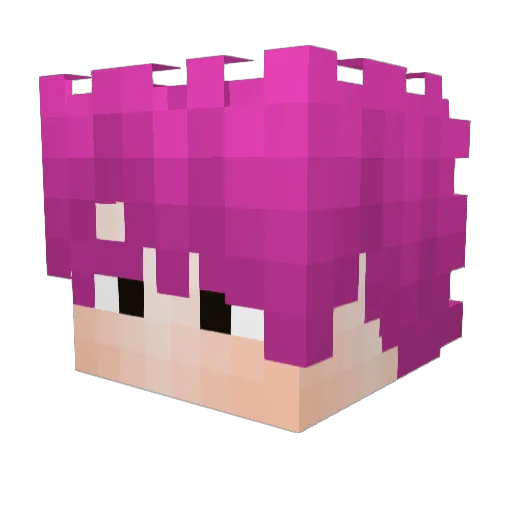 PimpledAxe862 Minecraft avatar head, 3D render