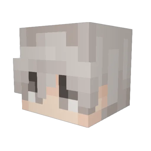 PinSen06 Minecraft avatar head, 3D render