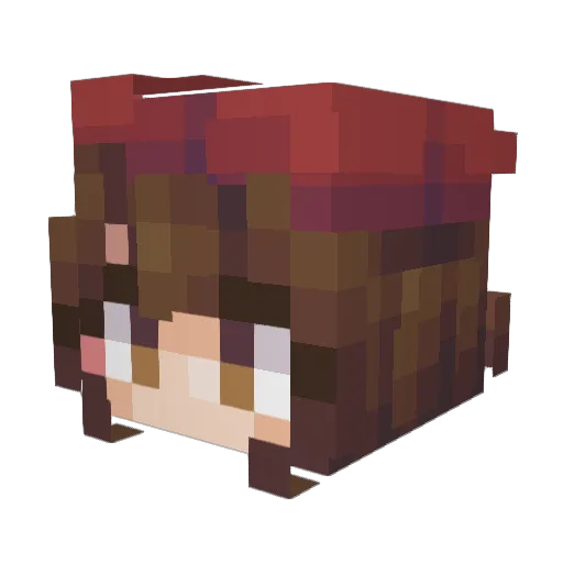 Pina0603 Minecraft avatar head, 3D render