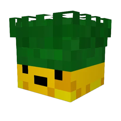 Pinapel_PvP_PRO3 Minecraft avatar head, 3D render
