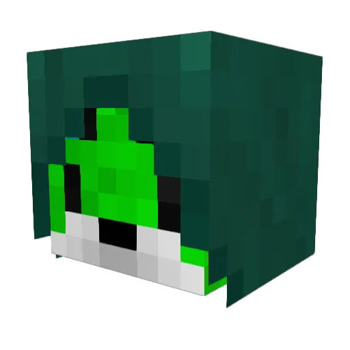 PinappleGamerZ Minecraft avatar head, 3D render
