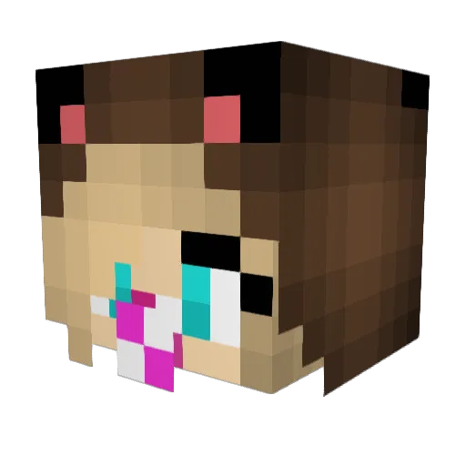 PincPiggy Minecraft avatar head, 3D render