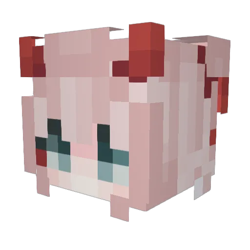 PinchDolphin276 Minecraft avatar head, 3D render