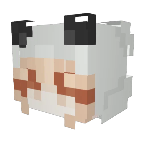 PinchEagle54730 Minecraft avatar head, 3D render