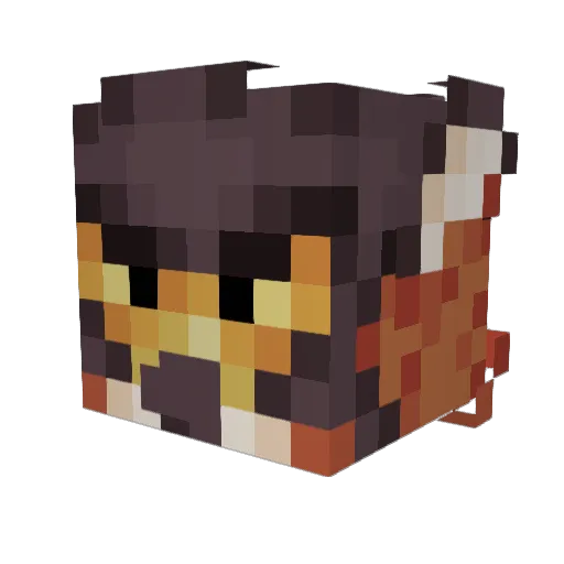 Pinchi_The_Gryph Minecraft avatar head, 3D render