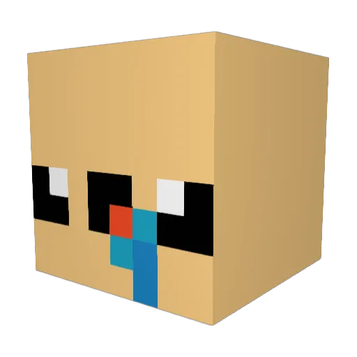 Pinchuini Minecraft avatar head, 3D render