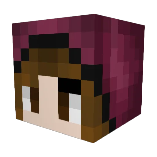 PineCone999 Minecraft avatar head, 3D render