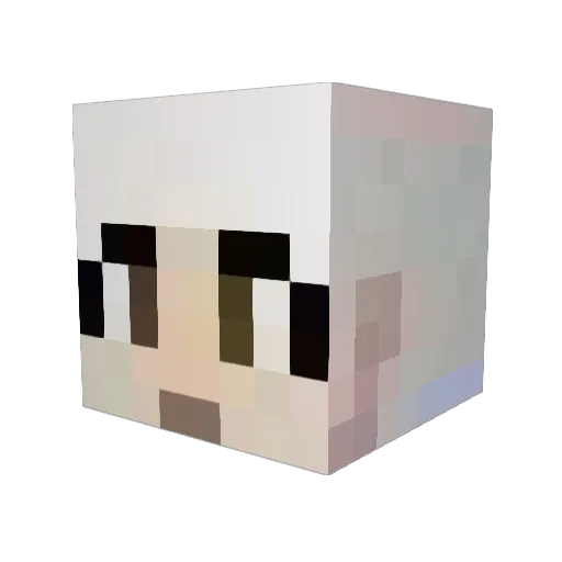 PineCraft0908 Minecraft avatar head, 3D render