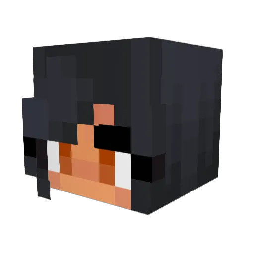 PineGapplez Minecraft avatar head, 3D render