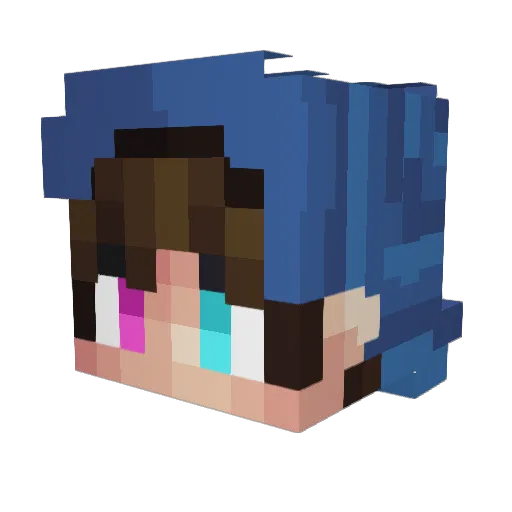 PineT_ Minecraft avatar head, 3D render