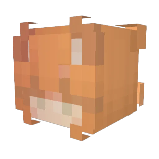 PineTrees24 Minecraft avatar head, 3D render